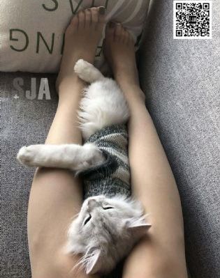 四虎在线视频_超清韩国电影在线观看