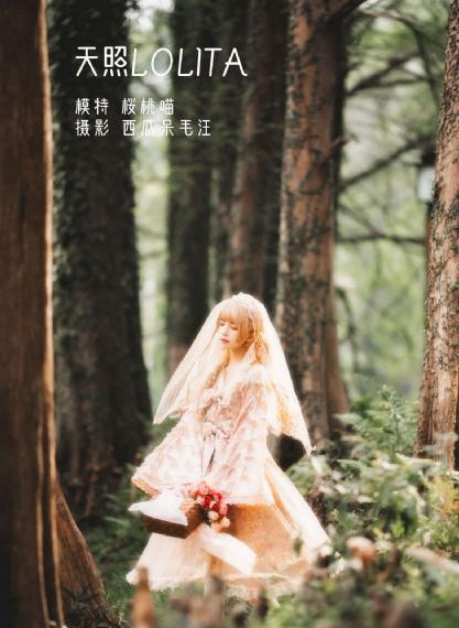 铁齿铜牙纪晓岚4_1080免费在线播放